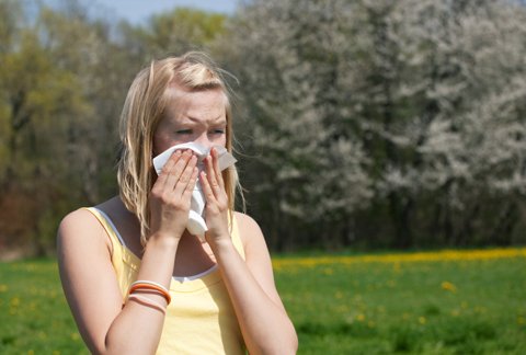 , Kuva: iStockPhoto