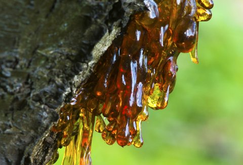 , ISTOCKPHOTO