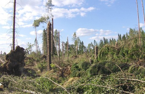 , KOSKELA JORMA